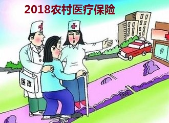 2018农村医疗保险