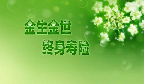 君康金生金世终身寿险保什么?有什么特点?+保险分析