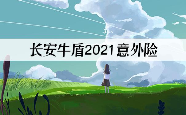 长安牛盾2021成人意外险保什么?产品有什么优势?