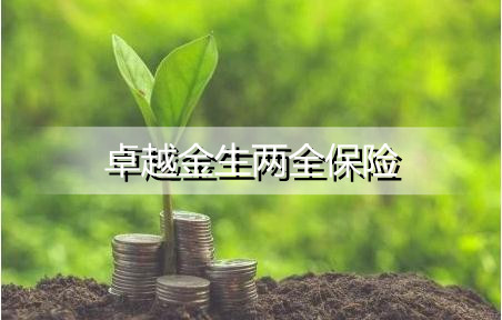 人保卓越金生兩全保險保什麼怎麼給付保險金