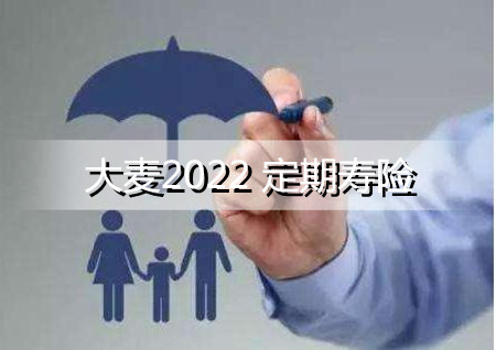 华贵大麦2022定期寿险怎么样？不保什么？