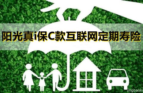 阳光真i保C款互联网定期寿险怎么样?保什么?