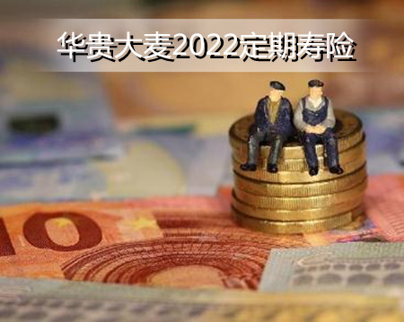 华贵大麦2022定期寿险好不好?在哪买?