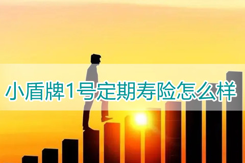 小盾牌1号定期寿险怎么样?多少钱?有什么亮点?