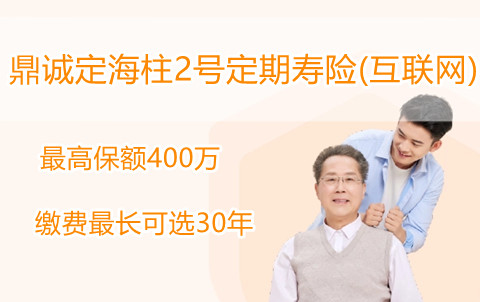 2022鼎诚定海柱2号定期寿险(互联网)怎么样?多少钱一年?