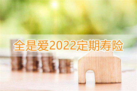 全是爱2022定期寿险产品如何?好不好?