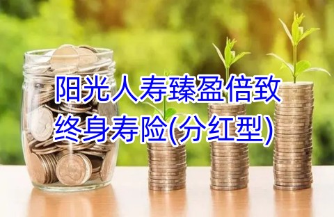 阳光人寿臻盈倍致终身寿险(分红型)保什么?有什么优点?