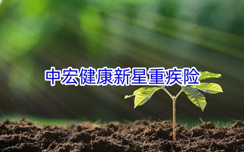 中宏健康新星重疾险保什么?值得买吗?