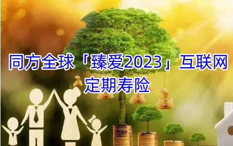 同方全球「臻爱2023」互联网定期寿险有什么亮点?值得买吗?