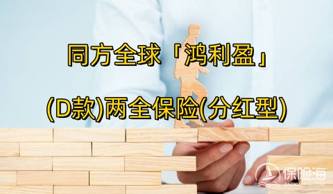 同方全球「鸿利盈」(D款)两全保险(分红型)有什么亮点?值得买吗+案例