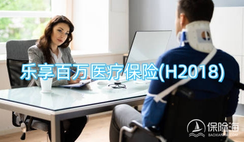 乐享百万医疗保险(H2018)保什么?多少钱一年?