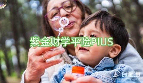 紫金财学平险PIUS多少钱一年?可靠吗?