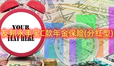 2024友邦永丰宝C款年金保险(分红型)保什么?有什么优点?