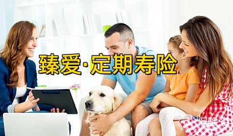 臻爱·定期寿险怎么样?有什么特色？值得买吗?