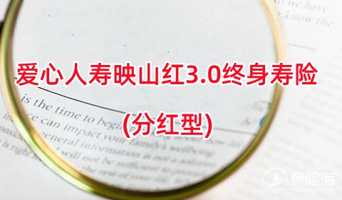 爱心人寿映山红3.0终身寿险(分红型)保什么?领多少钱?案例演示