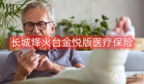 长城烽火台金悦版医疗保险保什么?多少钱?