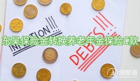 东吴保险金转换养老年金保险C款保什么?领多少钱?