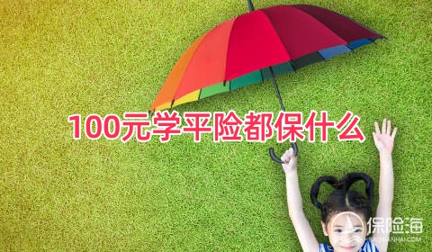 100元学平险都保什么?学平险一般怎么报销?