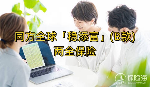 同方全球「稳添富」(B款)两全保险保什么?收益如何?