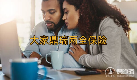 大家鼎瑞两全保险收益如何?可靠吗?