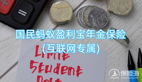 国民蚂蚁盈利宝年金保险(互联网专属)好不好?保什么?