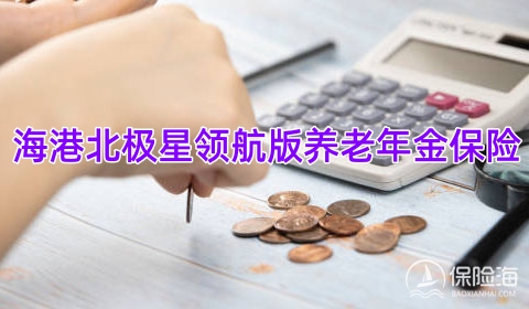 海港北极星领航版养老年金保险保什么?有什么优点?