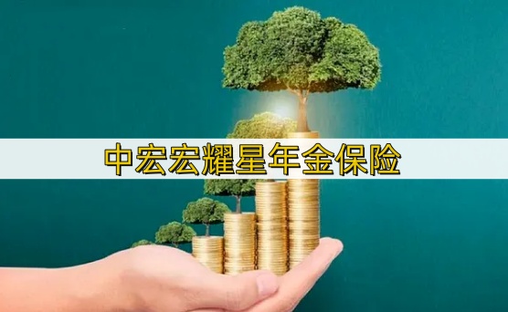 中宏宏耀星年金保险保什么?值得买吗?