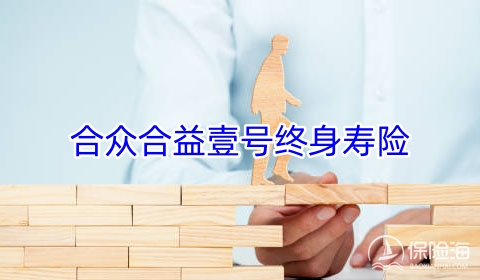 合众合益壹号终身寿险保障内容?几时回本?