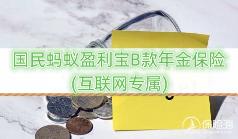 国民蚂蚁盈利宝B款年金保险(互联网专属)产品如何?保障介绍?