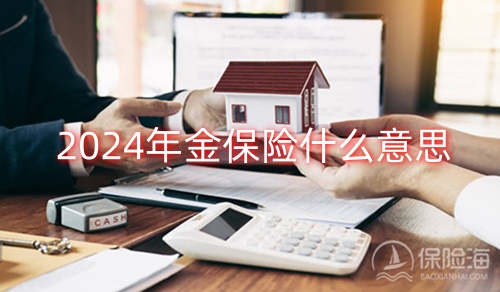 2024年金保险什么意思_2024如何选择年金险