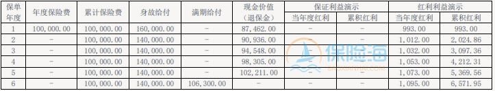 大家鸿赢两全保险(分红型)保什么?收益如何?